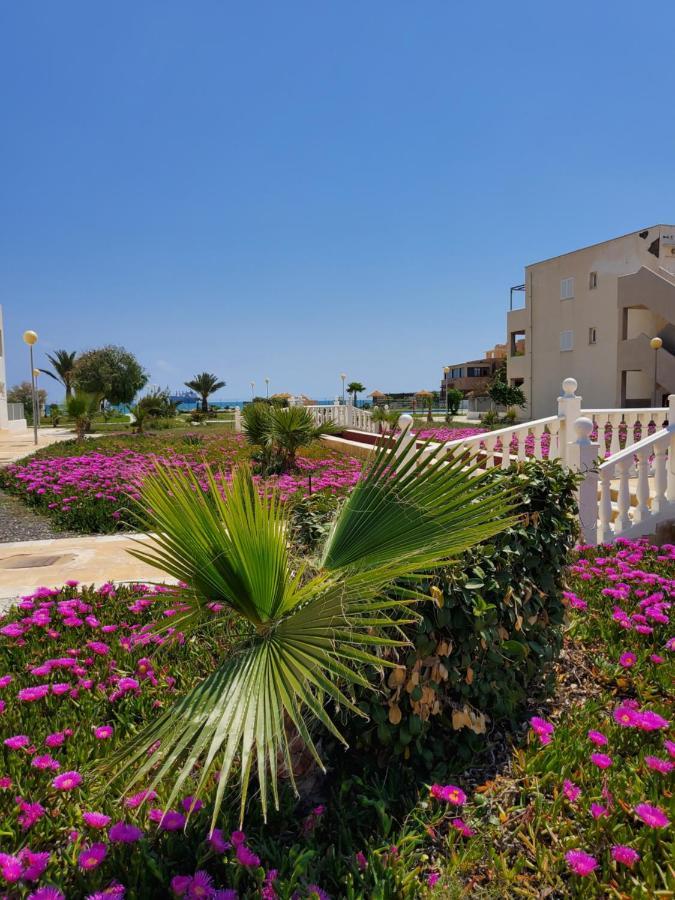 Casa Baja Naturista Con Patio En Primera Linea De Playa Con Piscina Comunitaria! Бера Екстер'єр фото
